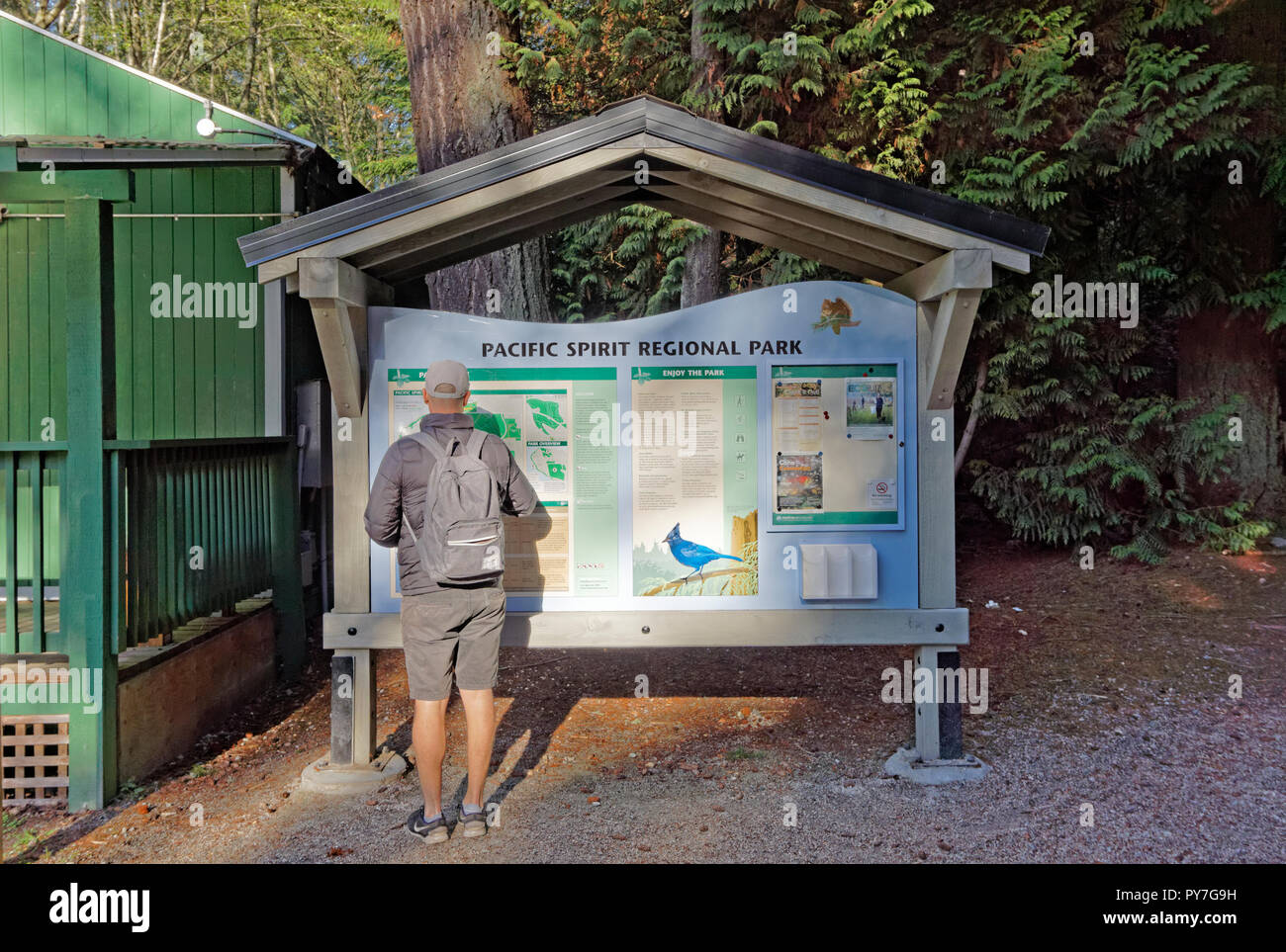 Mann, der an einer Karte der Pacific Spirit Park suchen und die Natur an der Informationszentrale des Park, Vancouver, BC, Kanada Stockfoto