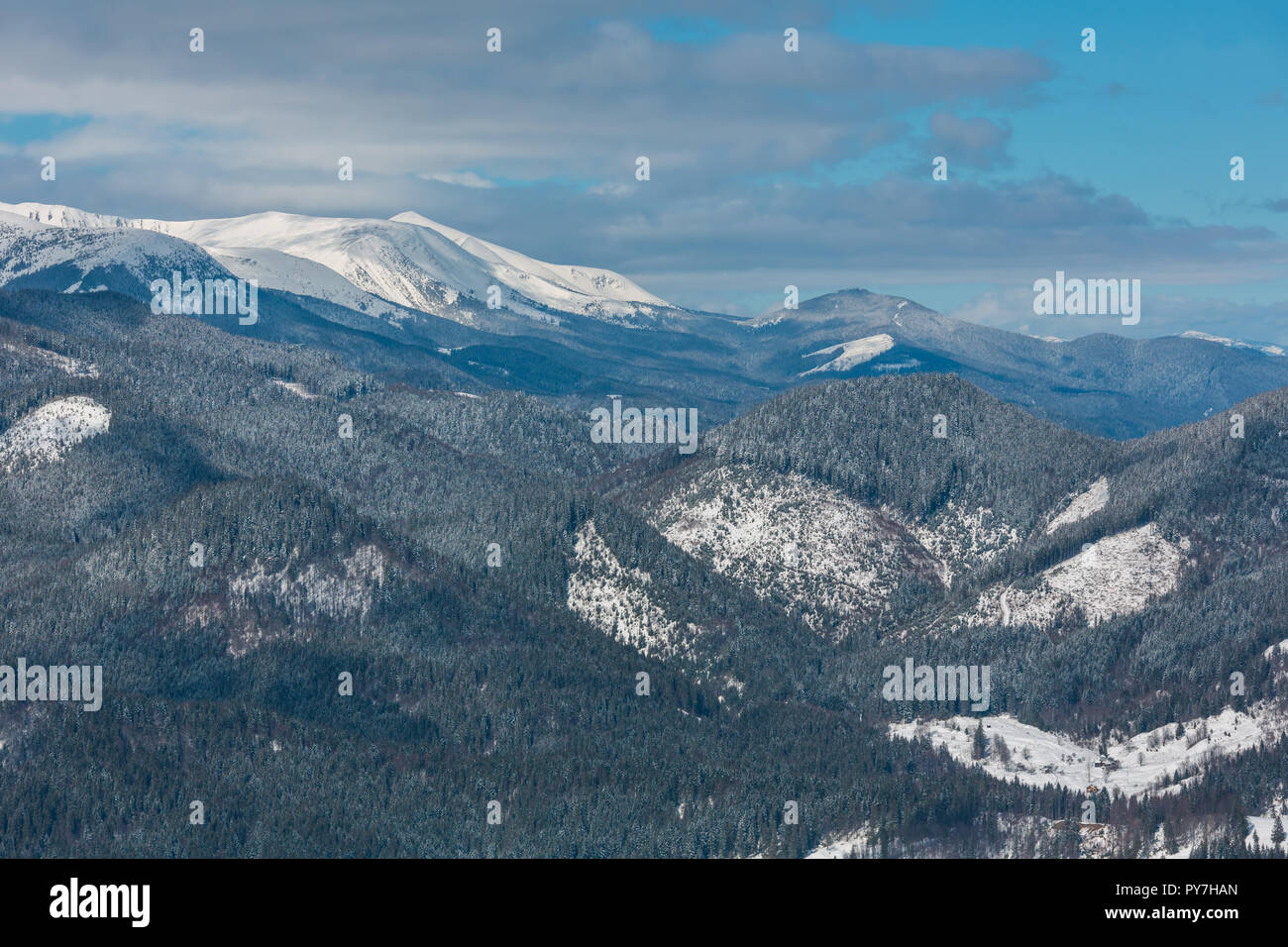 Malerische winter Bergblick von alpinen Pfad mit Platzbedarf. Skupova Berghang, der Ukraine, um Chornohora ridge und Hoverla Mountain Top, Stockfoto