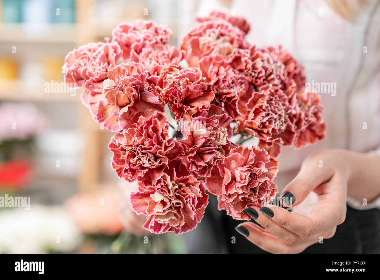 Blumenstrauß aus Nelken blumen Korallen und roten Farbe. Feder Bündel in der Frau die Hand. Geschenk zum Muttertag. Stockfoto