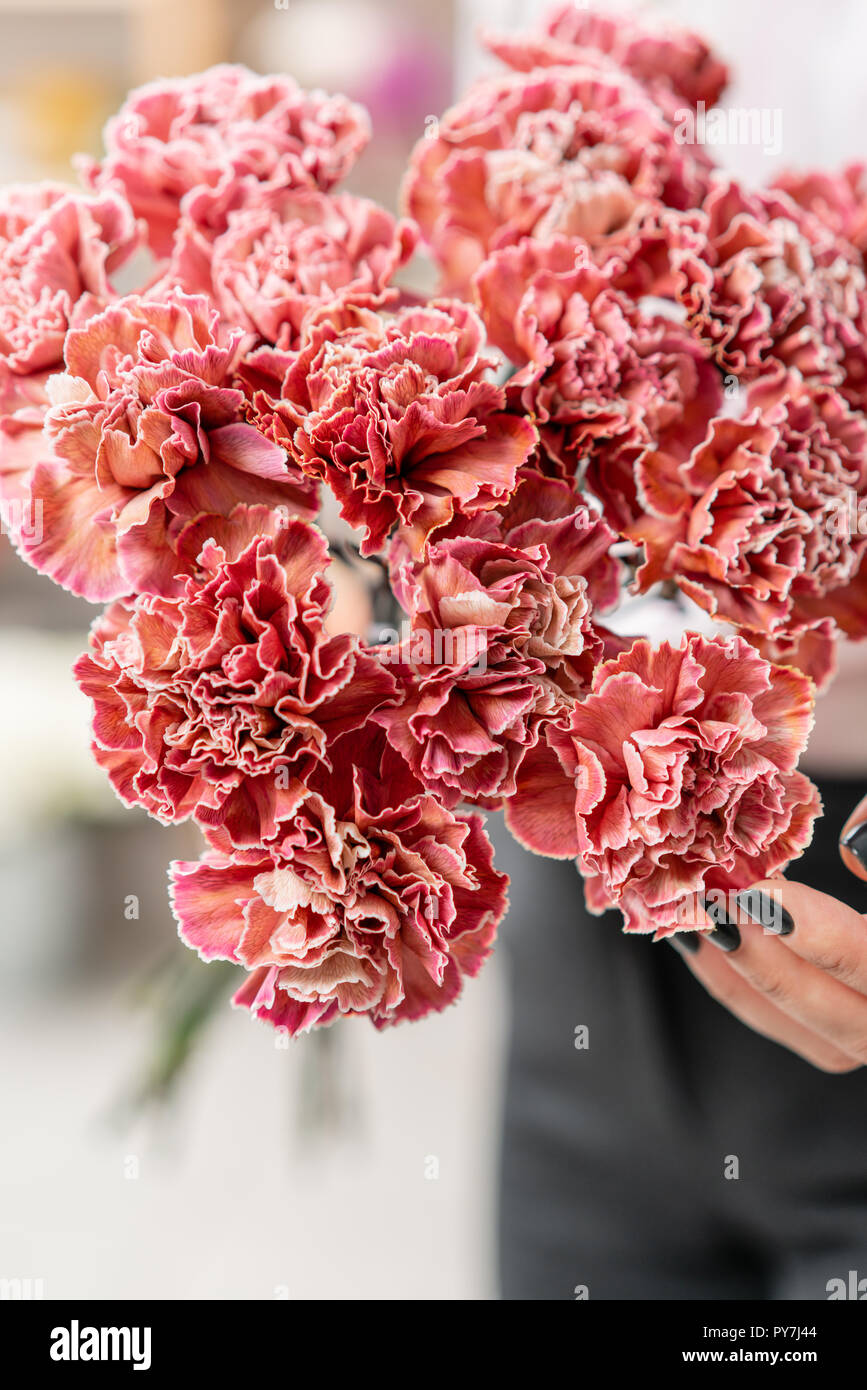 Blumenstrauss Aus Nelken Blumen Korallen Und Pfirsich Farbe Fruhling Hintergrund Nelke Bundel Geschenk Fur Muttertag Stockfotografie Alamy