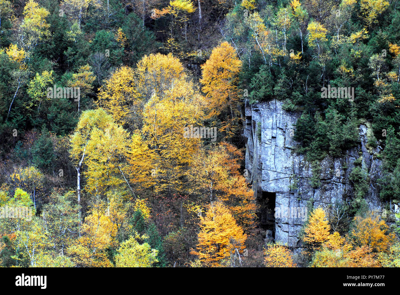 Schöne Herbstfarben in die Berge im Norden des Staates New York. Stockfoto