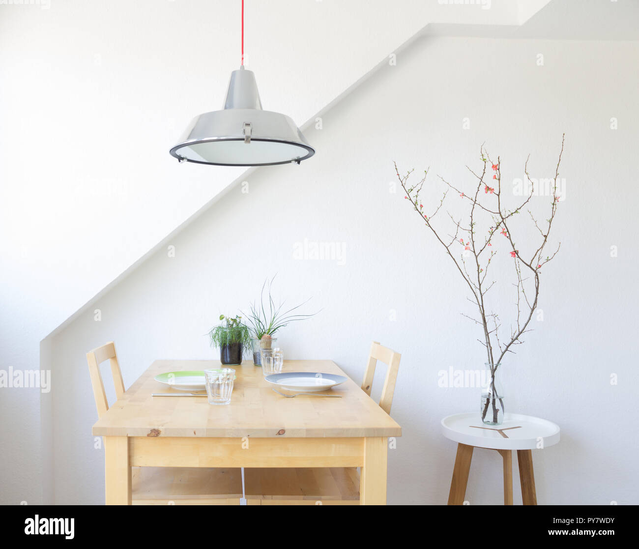 Modernes Wohnen: Küche Tabelle unter hängenden Industrie design Lampe mit Sukkulenten und Quitte Zweig eingerichtet Stockfoto