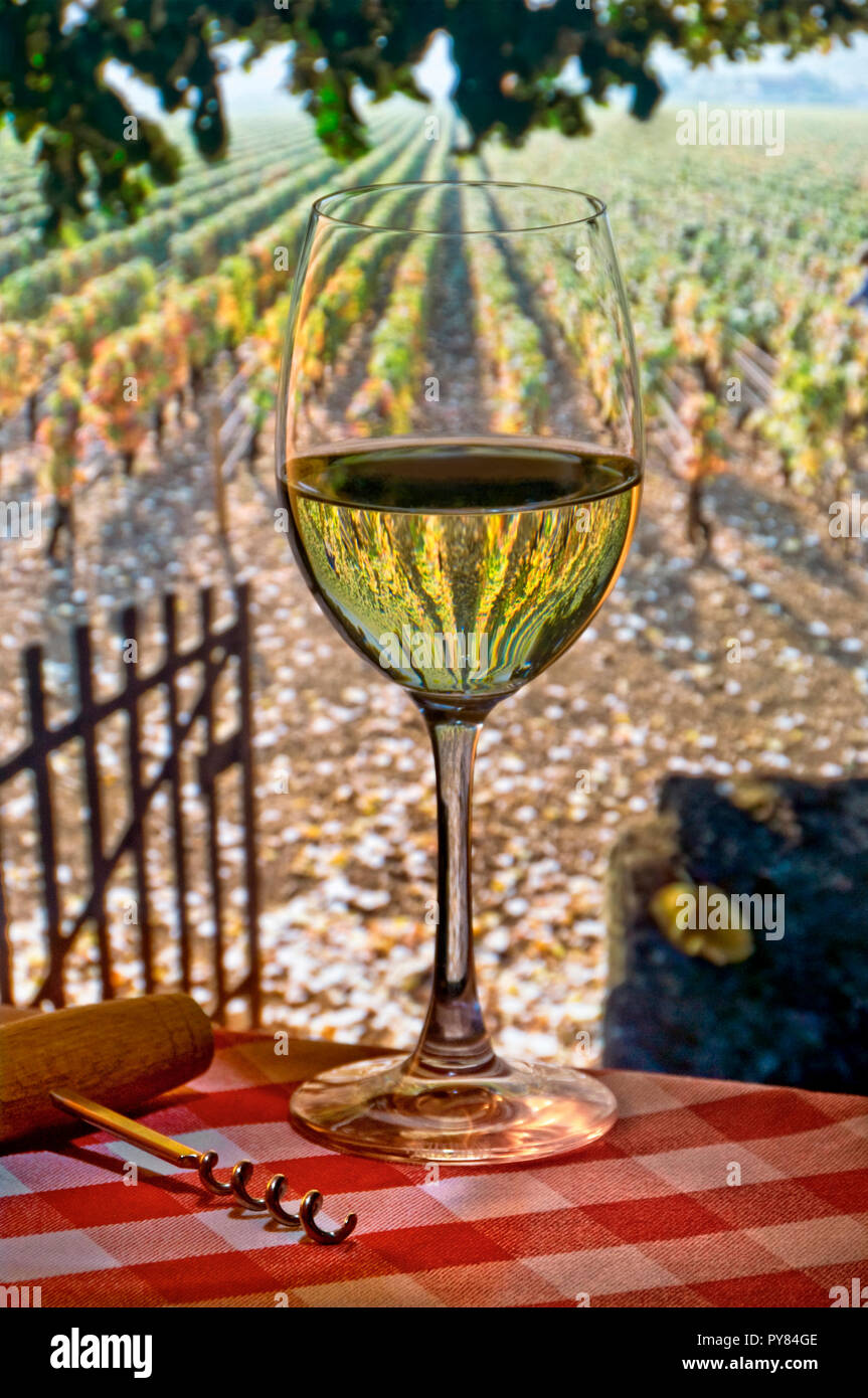 Wein Glas Alfresco in Weinbergen auf schattigen Picknick Tisch mit typischen französischen karierte Tischdecke & offene Tor zu herbstlichen Reben hinter Frankreich Stockfoto