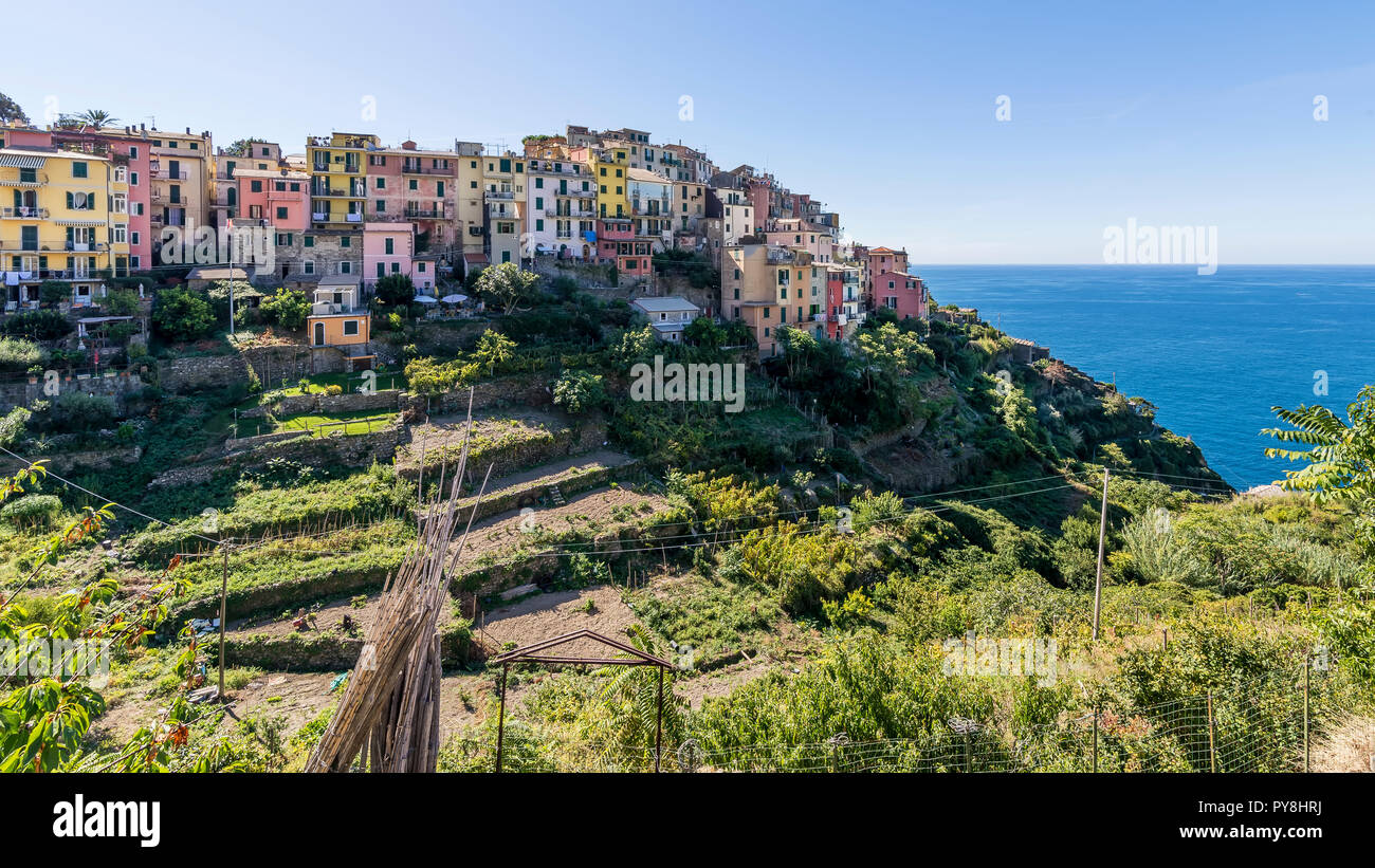 Panoramablick von Corniglia mit Blick auf das Meer, Cinque Terre, Ligurien, Italien Stockfoto