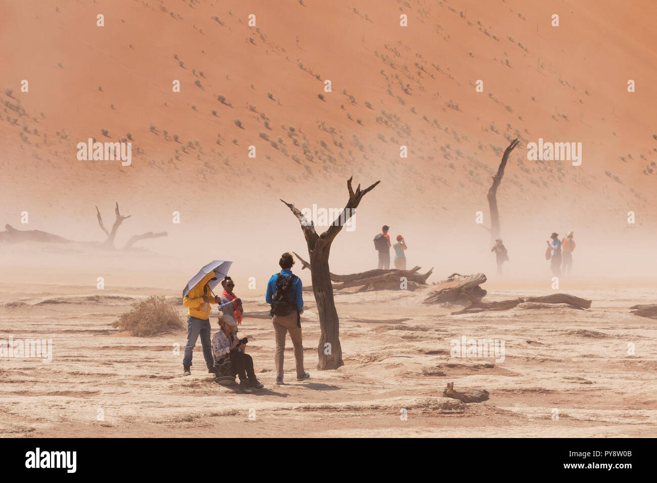 Namibia Tourism - Touristen die Zuflucht von einem kleinen Sandsturm, der Namib Wüste im Deadvlei, Sossusvlei, Namib, Namibia Afrika Stockfoto
