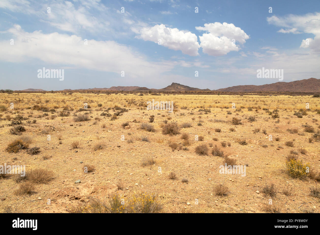 Namibia Wüste Landschaft, die Namib Wüste, Namib Naukluft National Park, Namibia, Afrika Stockfoto