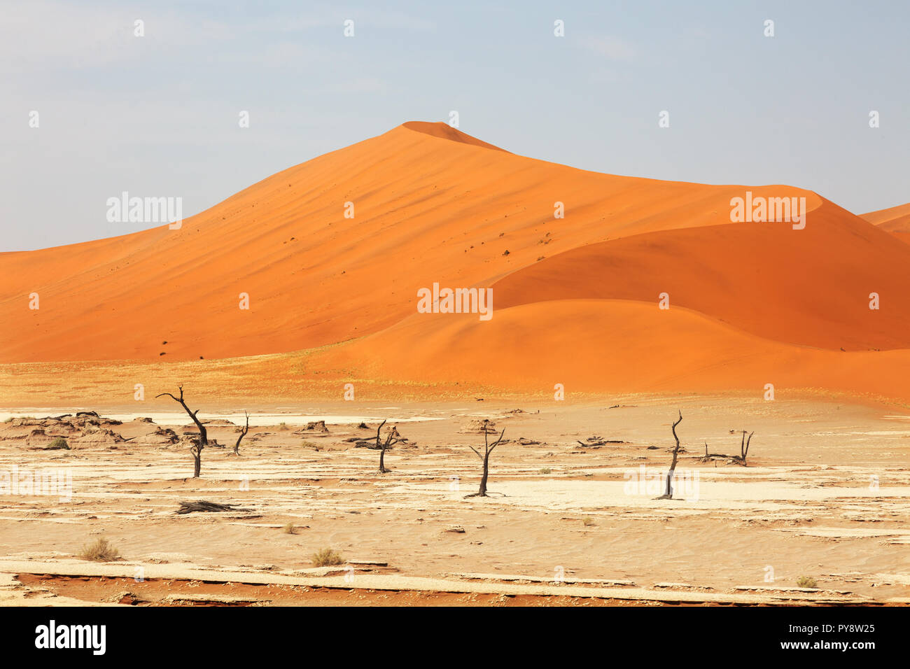 Namibia Wüste - Sand Dünen bei Sossusvlei, Namib Wüste Landschaft, Namibia, Afrika Stockfoto