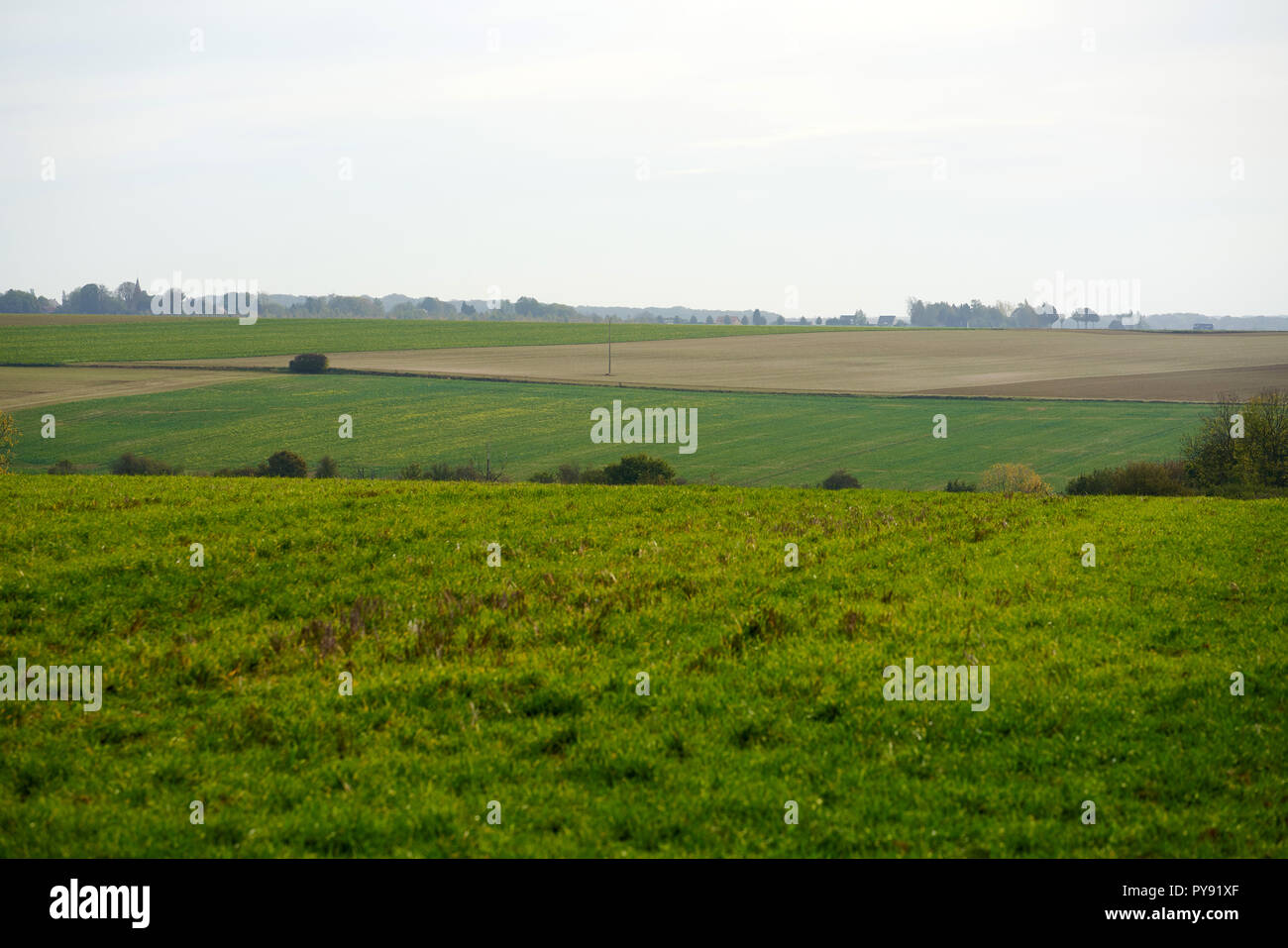 Blick über die Front an der Somme Schlachtfeld von der Leipziger Salient Stockfoto