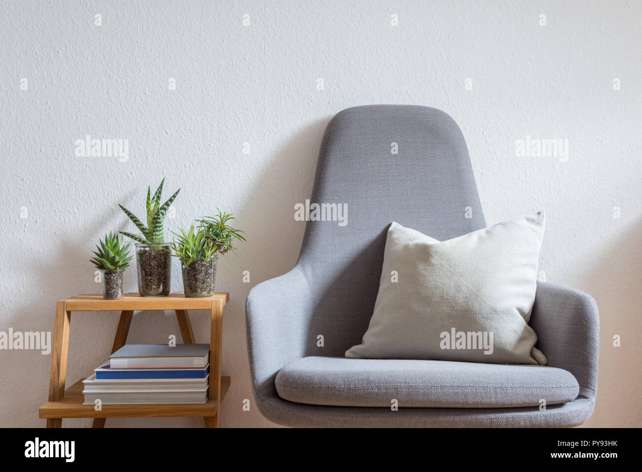 Moderne Sessel Mit Kissen In Helles Wohnzimmer Eingerichtet Mit Buchern Und Sukkulenten Stockfotografie Alamy