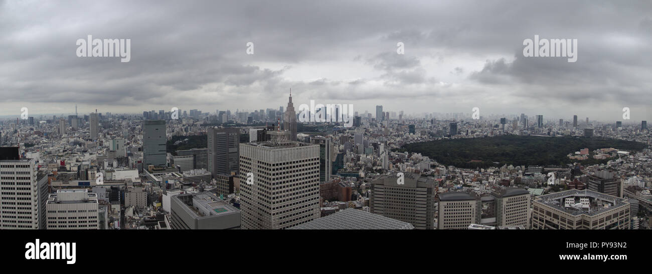 Antenne Panoramablick auf die Skyline von Tokio in Japan, tagsüber mit Wolken Stockfoto
