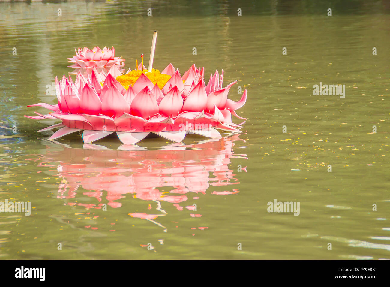 Schöne rosa Kratong schwimmt auf dem Wasser. Conccept für Loy kratongs Festival feierte in Thailand. Stockfoto