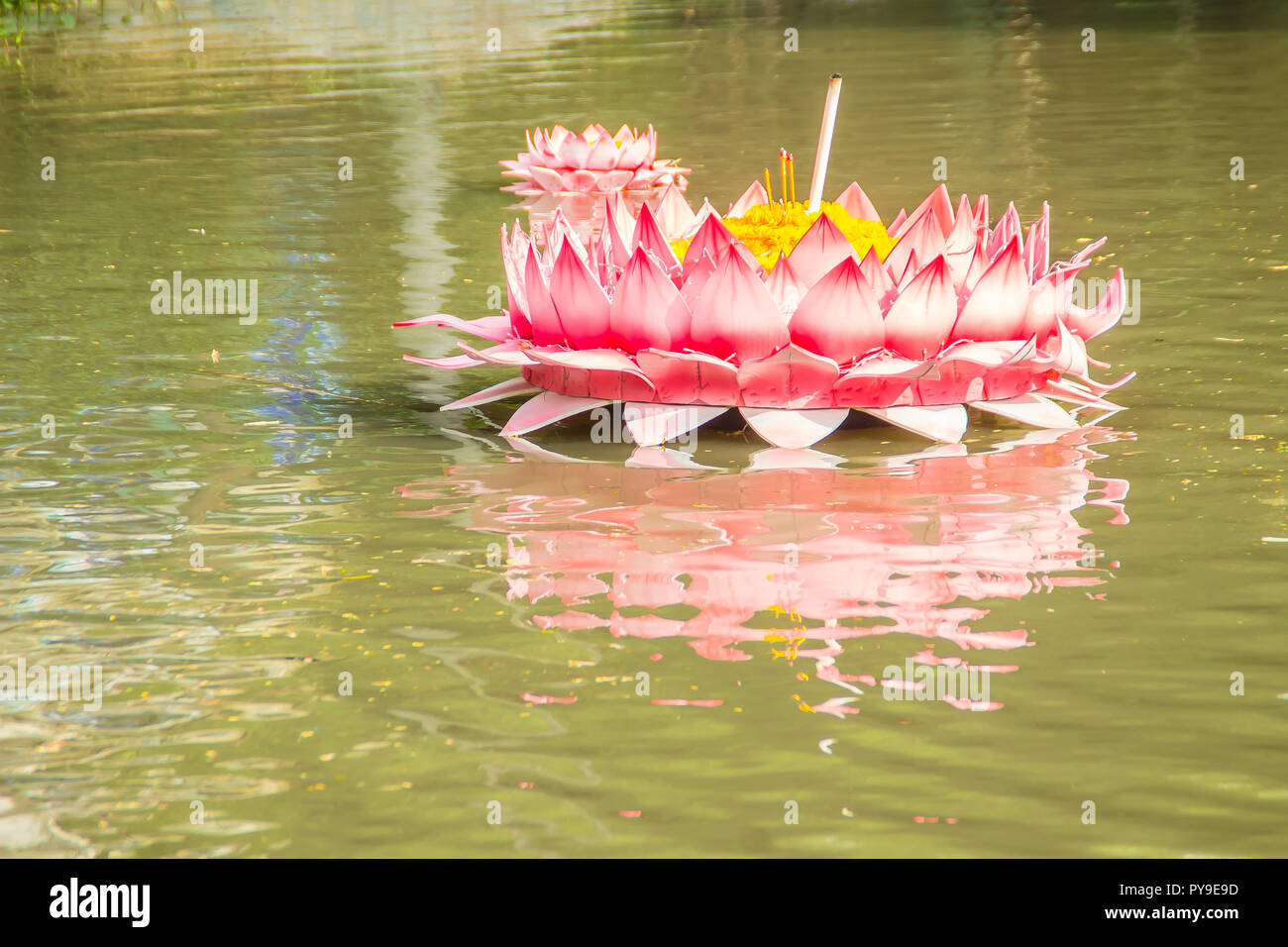 Schöne rosa Kratong schwimmt auf dem Wasser. Conccept für Loy kratongs Festival feierte in Thailand. Stockfoto