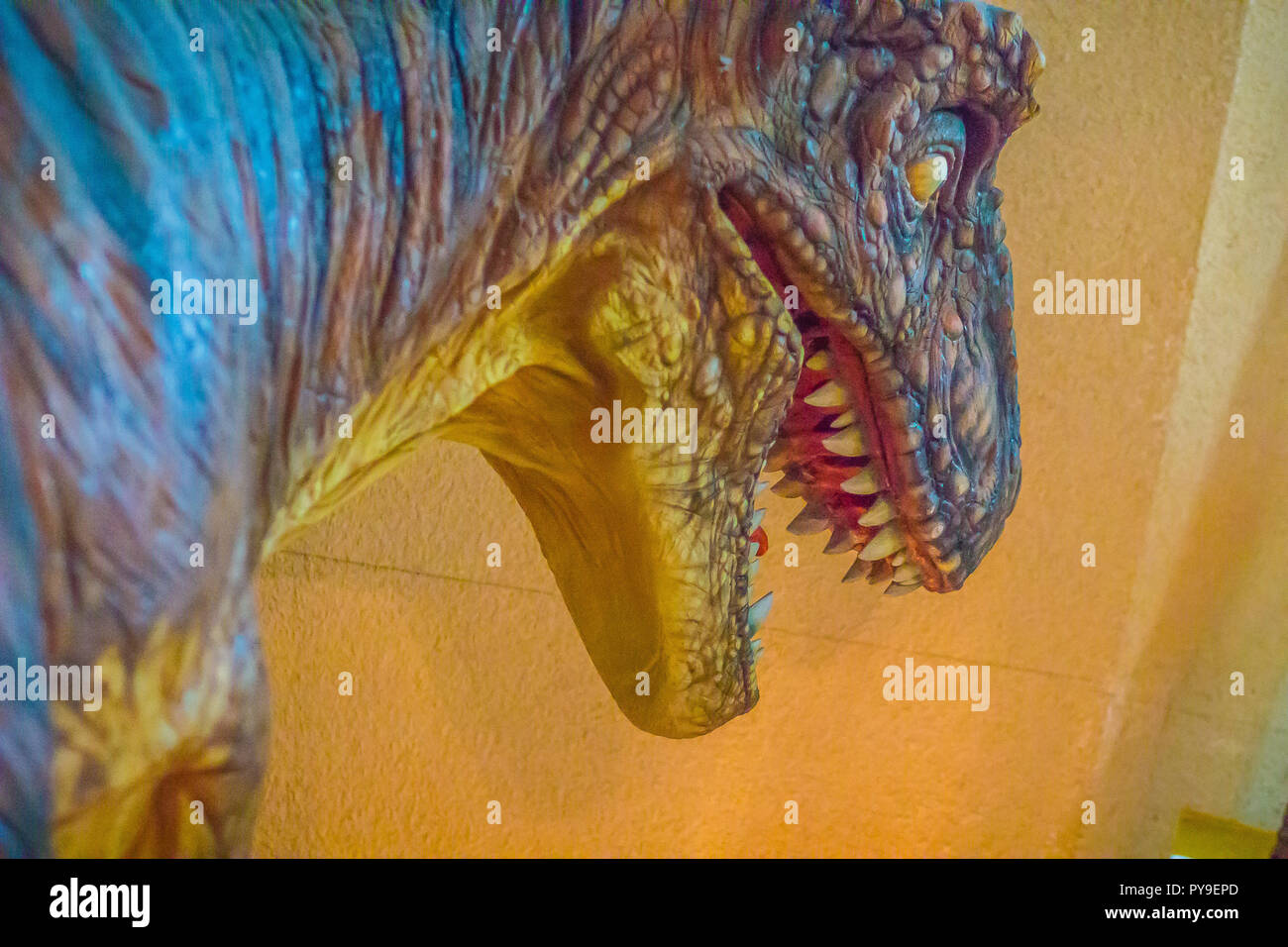 Kopf geschossen Modell der Siamotyrannus isanensis, eine Gattung von fleischfressenden Theropode Saurier aus der Unterkreide von Thailand. Stockfoto