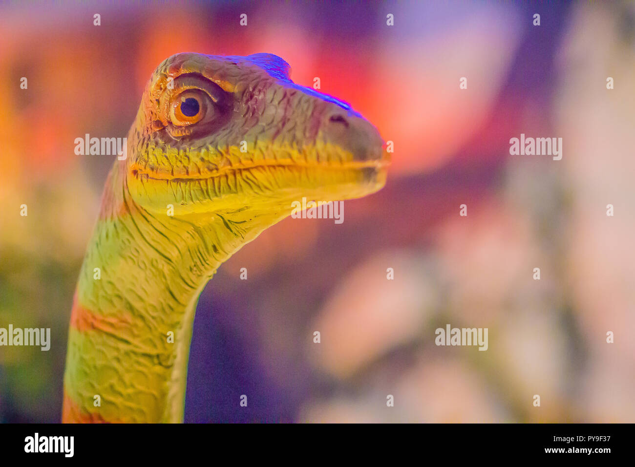 Cute Modell der Gallimimus Dinosaurier in der öffentlichen Museum. Gallimimus ist eine Gattung der ornithomimid Theropode Saurier aus der späten Kreidezeit. Stockfoto