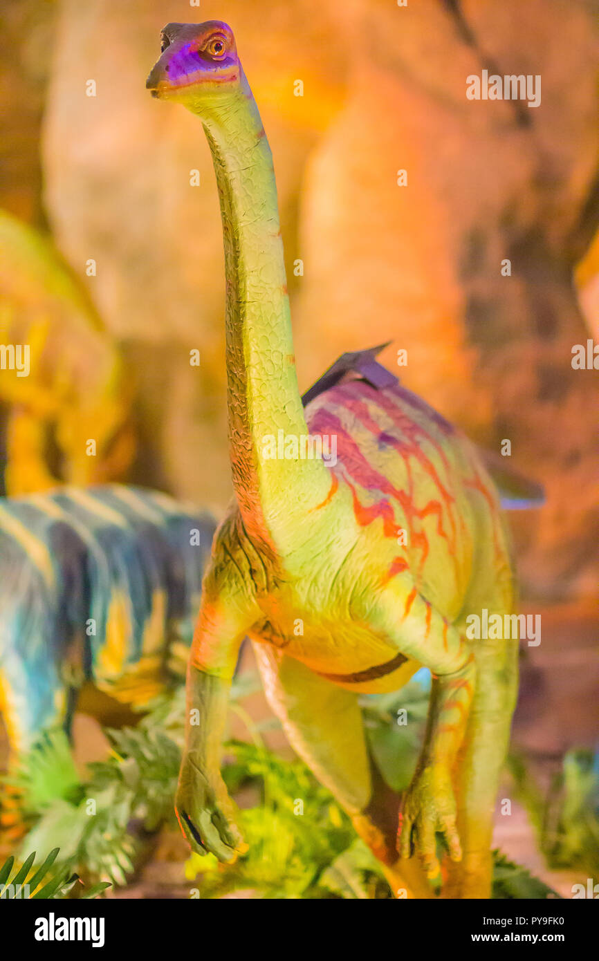 Cute Modell der Gallimimus Dinosaurier in der öffentlichen Museum. Gallimimus ist eine Gattung der ornithomimid Theropode Saurier aus der späten Kreidezeit. Stockfoto