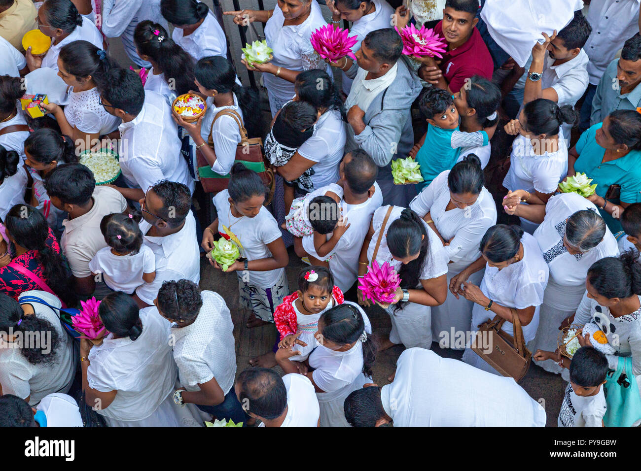 Pilger mit den Angeboten in ihren Händen auf dem Weg zum Tempel des Zahns in Kandy, Sri Lanka Stockfoto