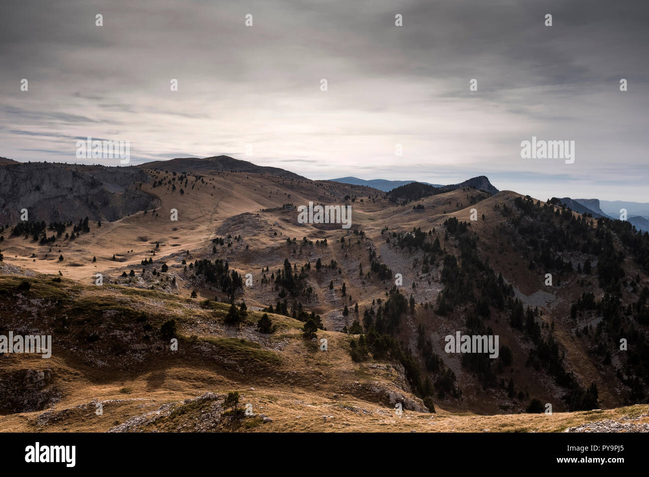 Chichilianne (Frankreich). Peyre Rouge Hochplateau im Vercors-massiv Stockfoto