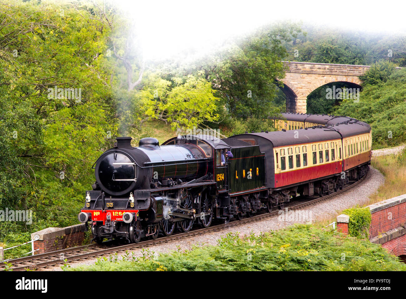 Dampflok auf der North Yorks Moors Railway Stockfoto