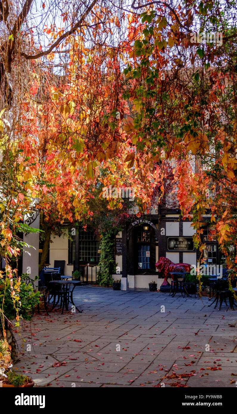 Um Salisbury, Wiltshire, England UK Red Lion Hotel Milford St Stockfoto