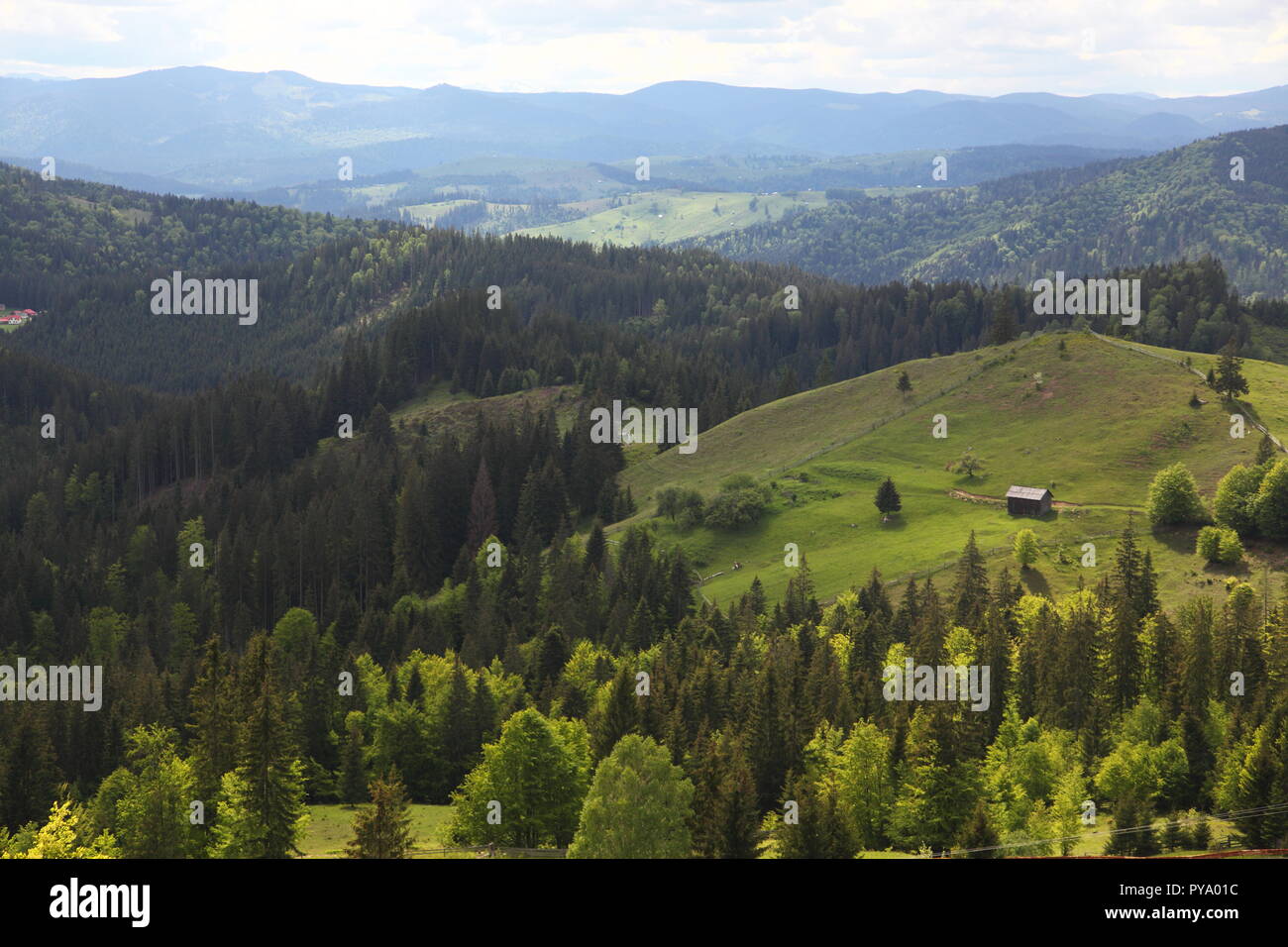 Schöne Landschaft im südlichen Bukowina, Moldavien, Rumänien Stockfoto
