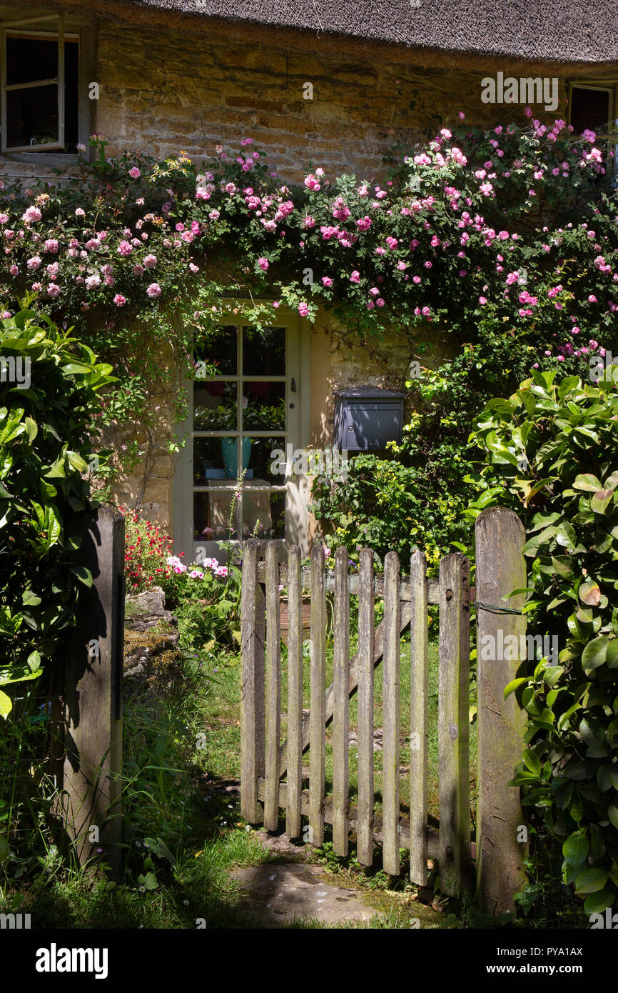 Gateway in Cottage führenden mit Kletterrosen rund um Windows in Englischer Garten, England, Europa Stockfoto