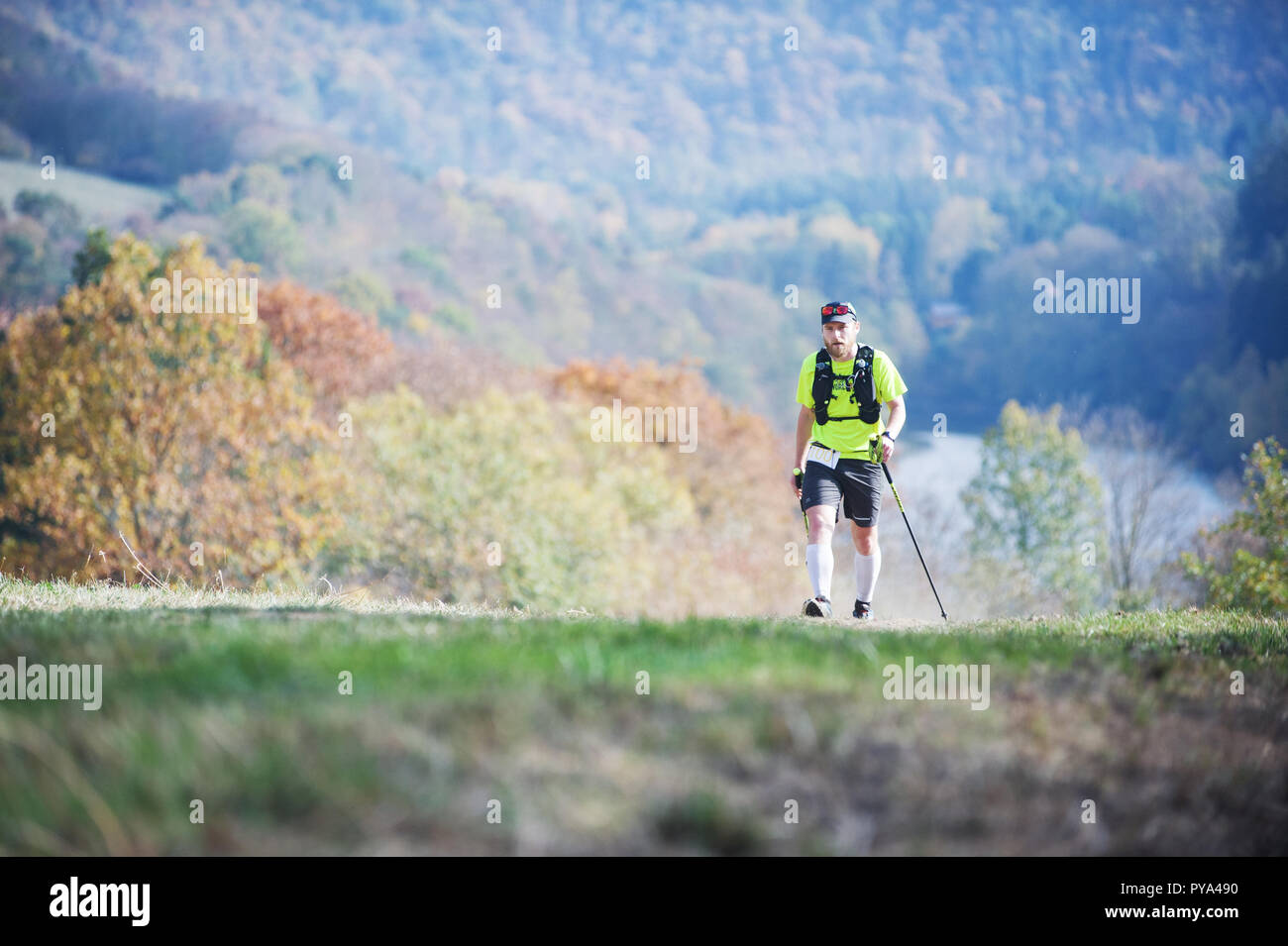 Tschechische Republik, SLAPY, Oktober 2018: Trail Maniacs laufen Wettbewerb. Bärtiger Mann mit Stöcken auf die Wiese. Herbstliche Atmosphäre. Stockfoto