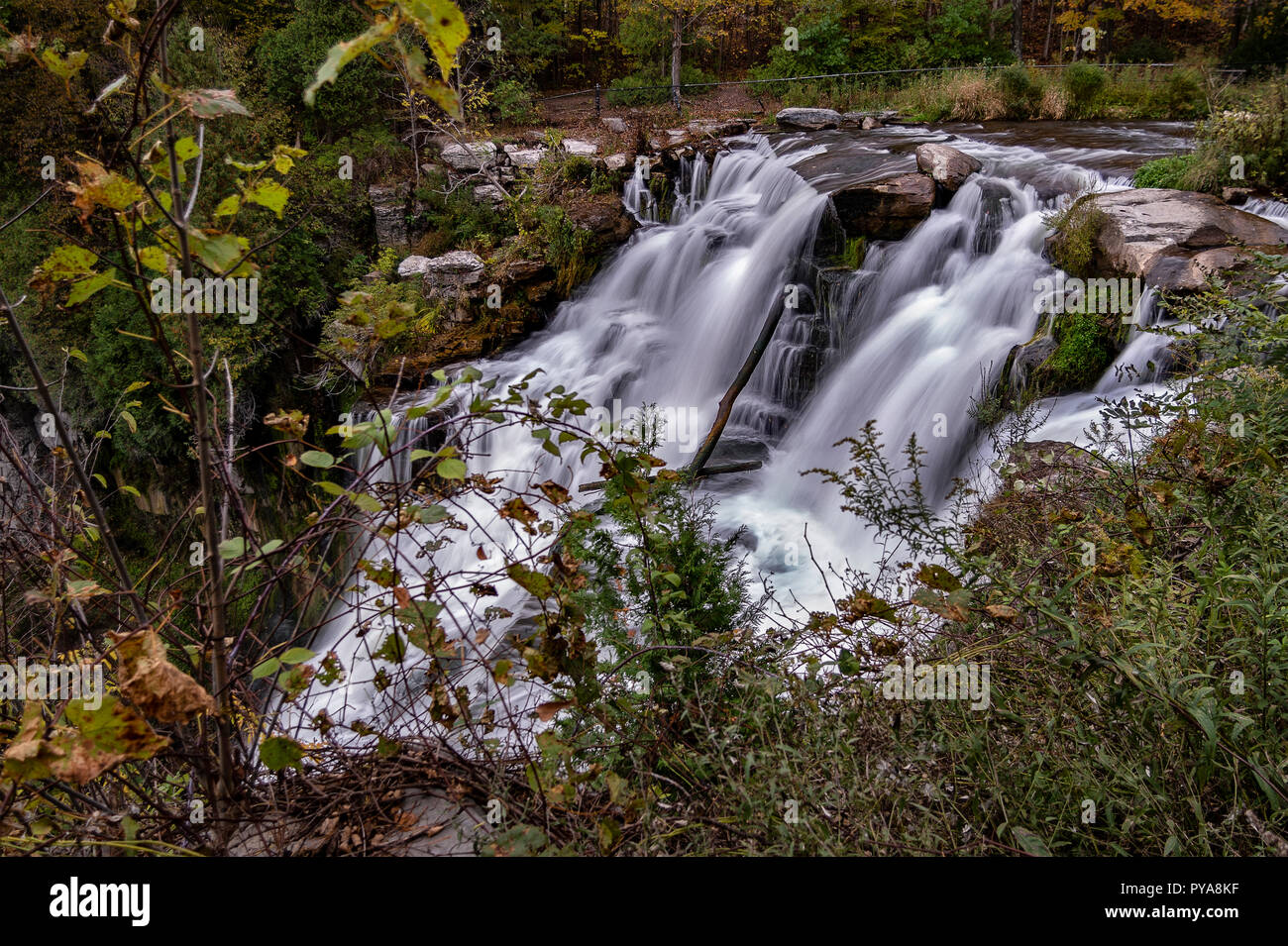 Blick auf Chittenango Falls ist in Cazenovia, New York, USA - ein wunderschönes Reiseziel entfernt Stockfoto