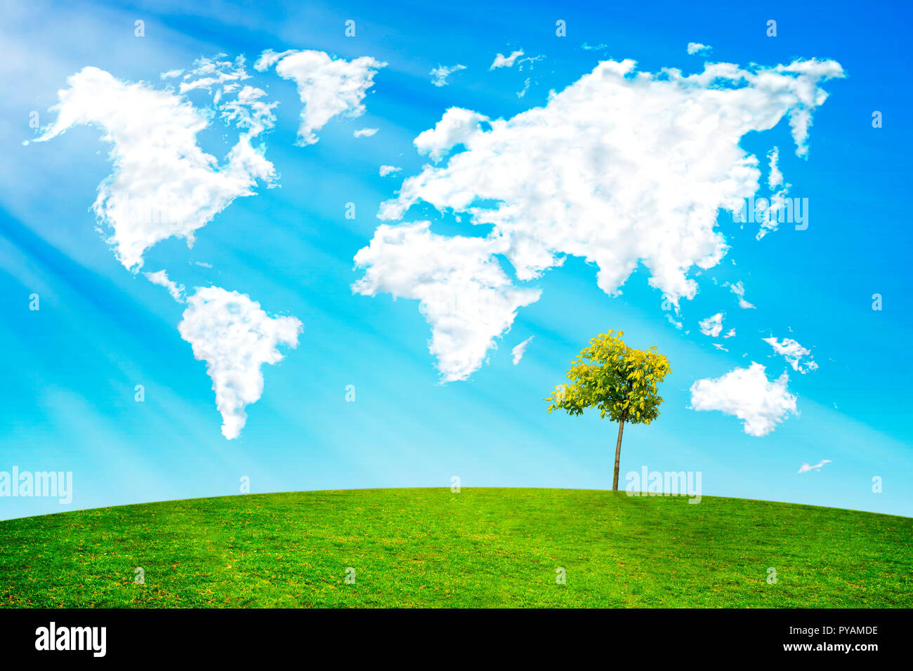 Wolken in Form einer Weltkarte auf der grünen Wiese mit Baum in der Sonne. Stockfoto