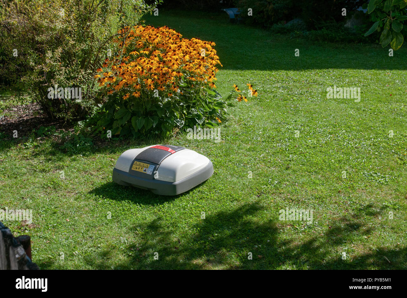 Batteriebetriebenen Roboter Rasenmäher Schneiden von Gras Stockfoto