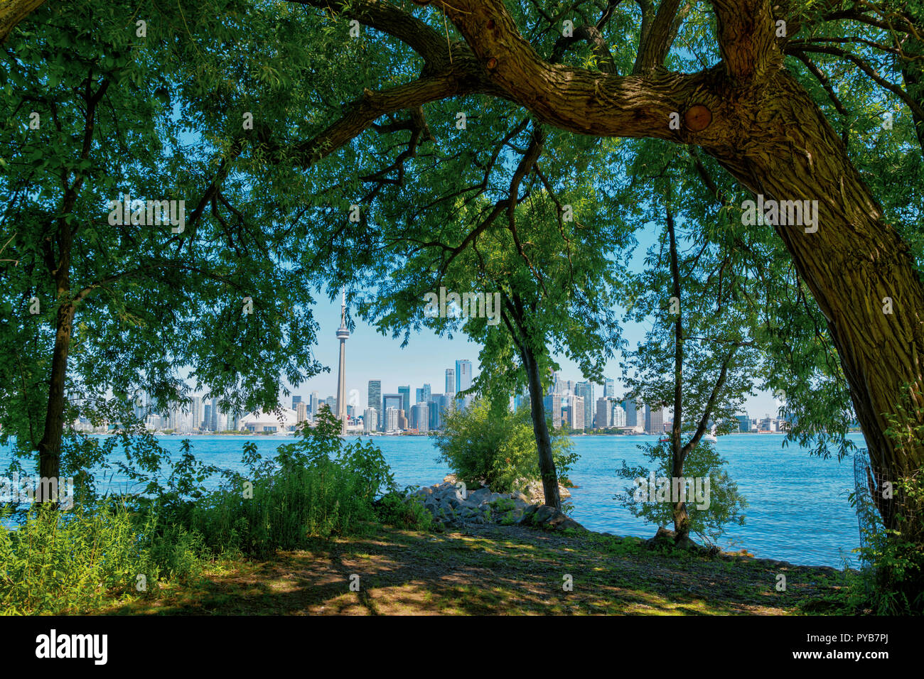 Skyline von Toronto, die durch die Bäume über dem Lake Ontario von der Toronto Island an einem sonnigen Tag Stockfoto