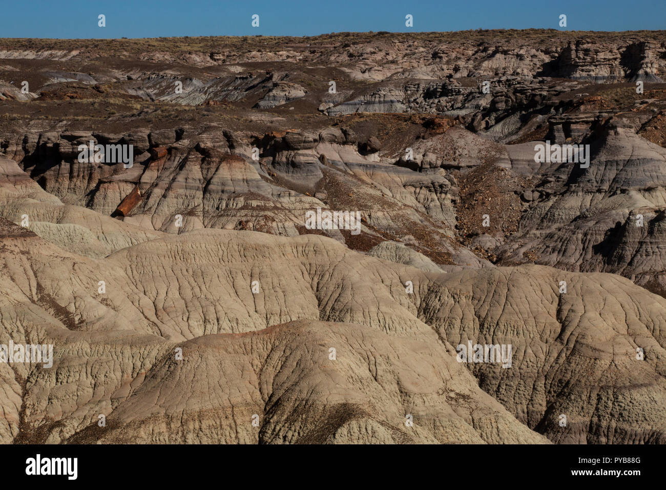 Mehrere Werte Stockfoto