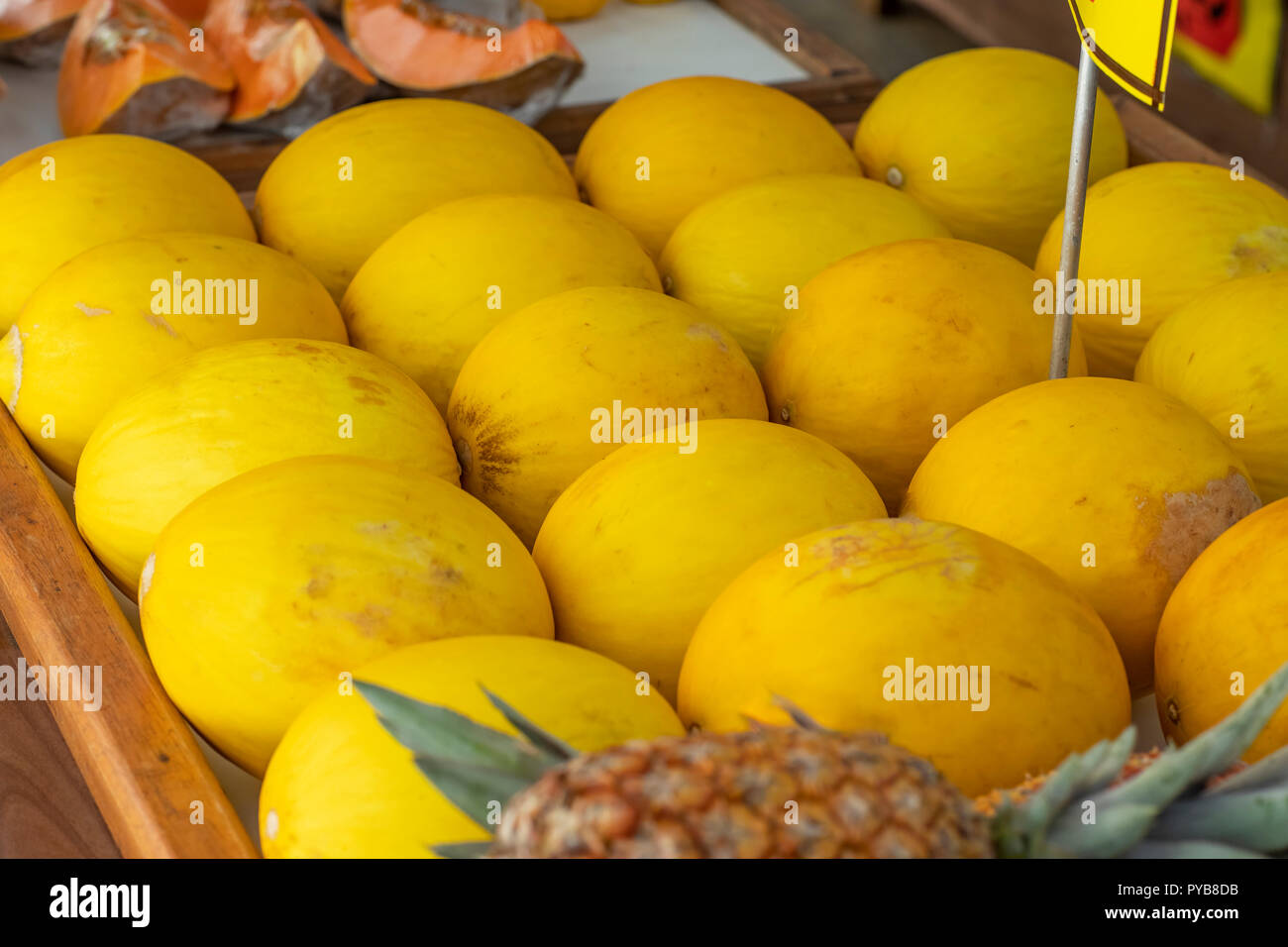 Gelbe Melone. Viele Melonen verkauft werden und Ananas im Hintergrund Stockfoto