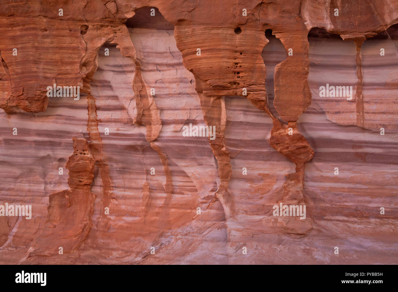 NEVADA - bunte Schichten von Sandstein und ein dunkles Rot Schicht von Verwitterten und Erodieren Aztec Sandstein in die weißen Kuppeln der Tal des Feuers Park Stockfoto