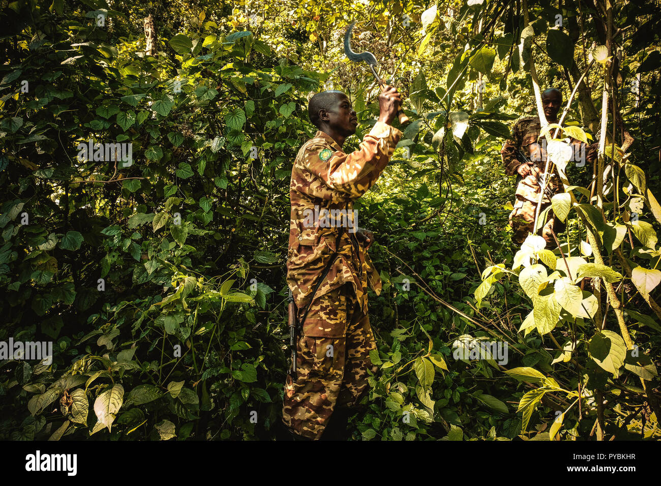 Uganda. 26 Sep, 2018. Ranger im undurchdringlichen Wald in Uganda gesehen. Der Bwindi Impenetrable Nationalpark ist ein gebirgiges Gebiet im Südwesten von Uganda. Es ist ein Zuhause auf der Welt verbliebenen Berggorillas, die auf Wurzeln, Blätter und Früchte von den Park. Credit: Lorena De La Cuesta/SOPA Images/ZUMA Draht/Alamy leben Nachrichten Stockfoto