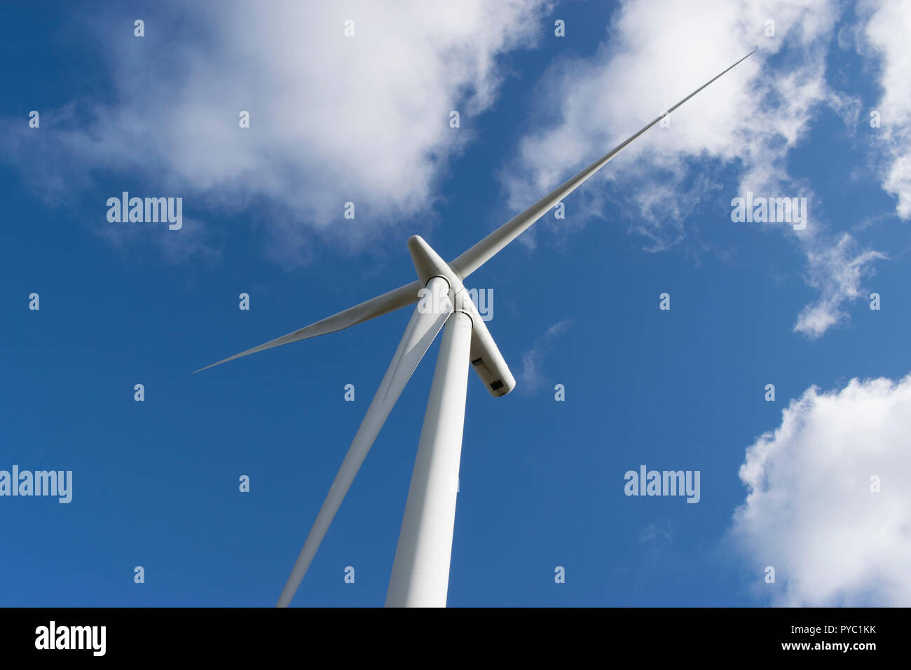 Windenergieanlagen im Windpark Whitelee, Eaglesham Moor, East Renfrewshire, Schottland Stockfoto