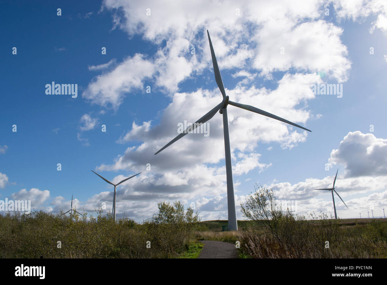 Windenergieanlagen im Windpark Whitelee, Eaglesham Moor, East Renfrewshire, Schottland Stockfoto