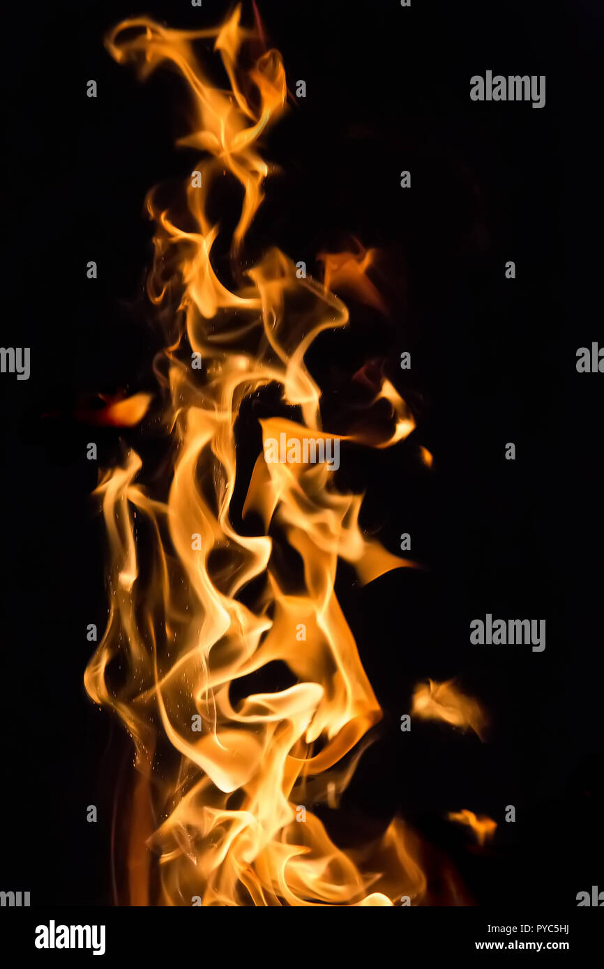 Brennholz Birke hell brennen im Feuer Stockfoto