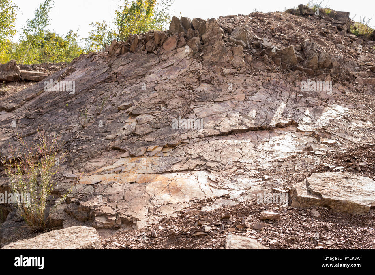 Detail der geologischen Strukturen innerhalb der zachelmie Steinbruch in Holly cross Berge in Polen Stockfoto