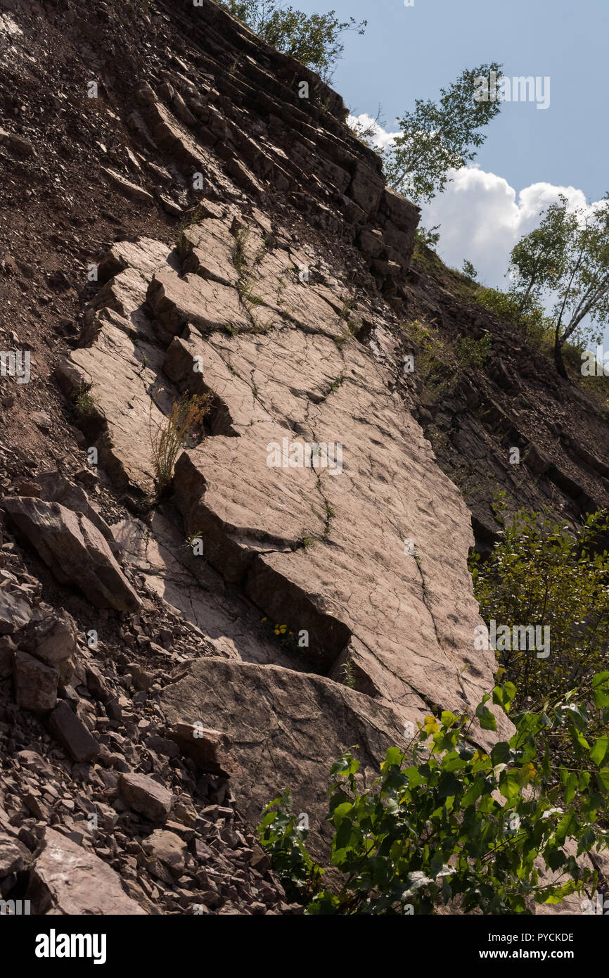 Abdrücke von Fußspuren von tetrapod Ichthyostega innerhalb von zachelmie Steinbruch in Holly cross Berge in Polen Stockfoto