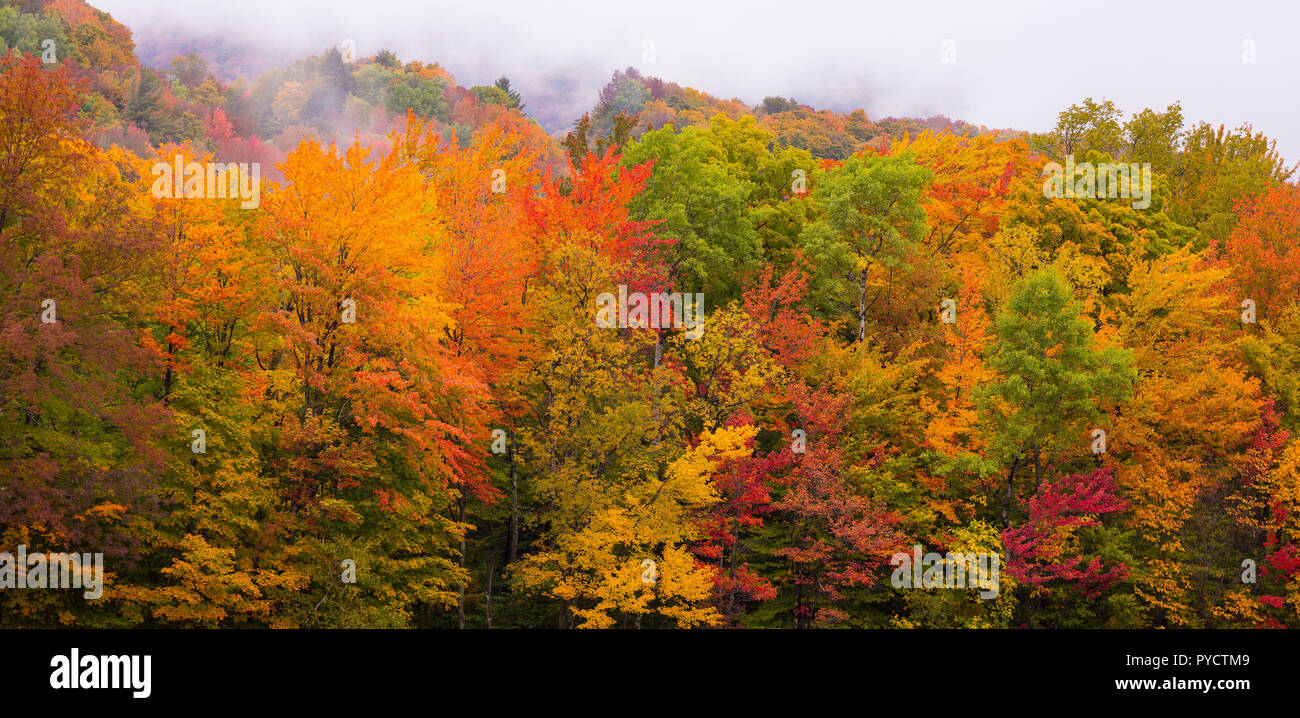 WARREN, Vermont, USA - Herbst Laub in die grünen Berge, Mad River Valley. Stockfoto
