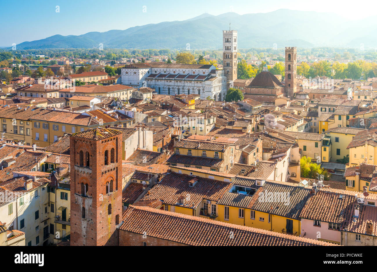 Panoramischer Anblick in Lucca, mit dem Duomo San Martino im Hintergrund. Toskana, Italien. Stockfoto