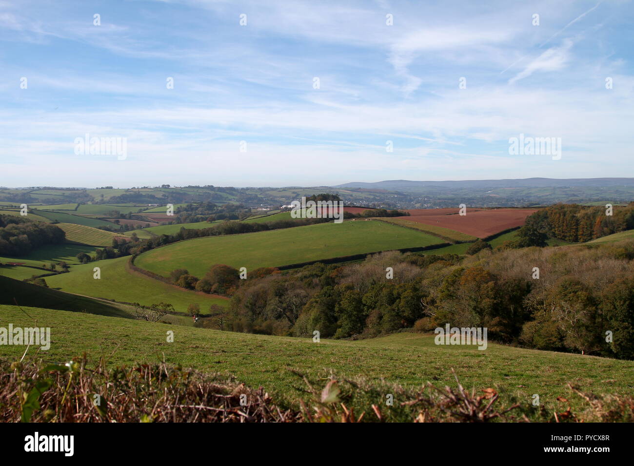 Berry Pomeroy, Devon, England: Felder und Wälder mit Dartmoor-Nationalpark im Hintergrund. Stockfoto
