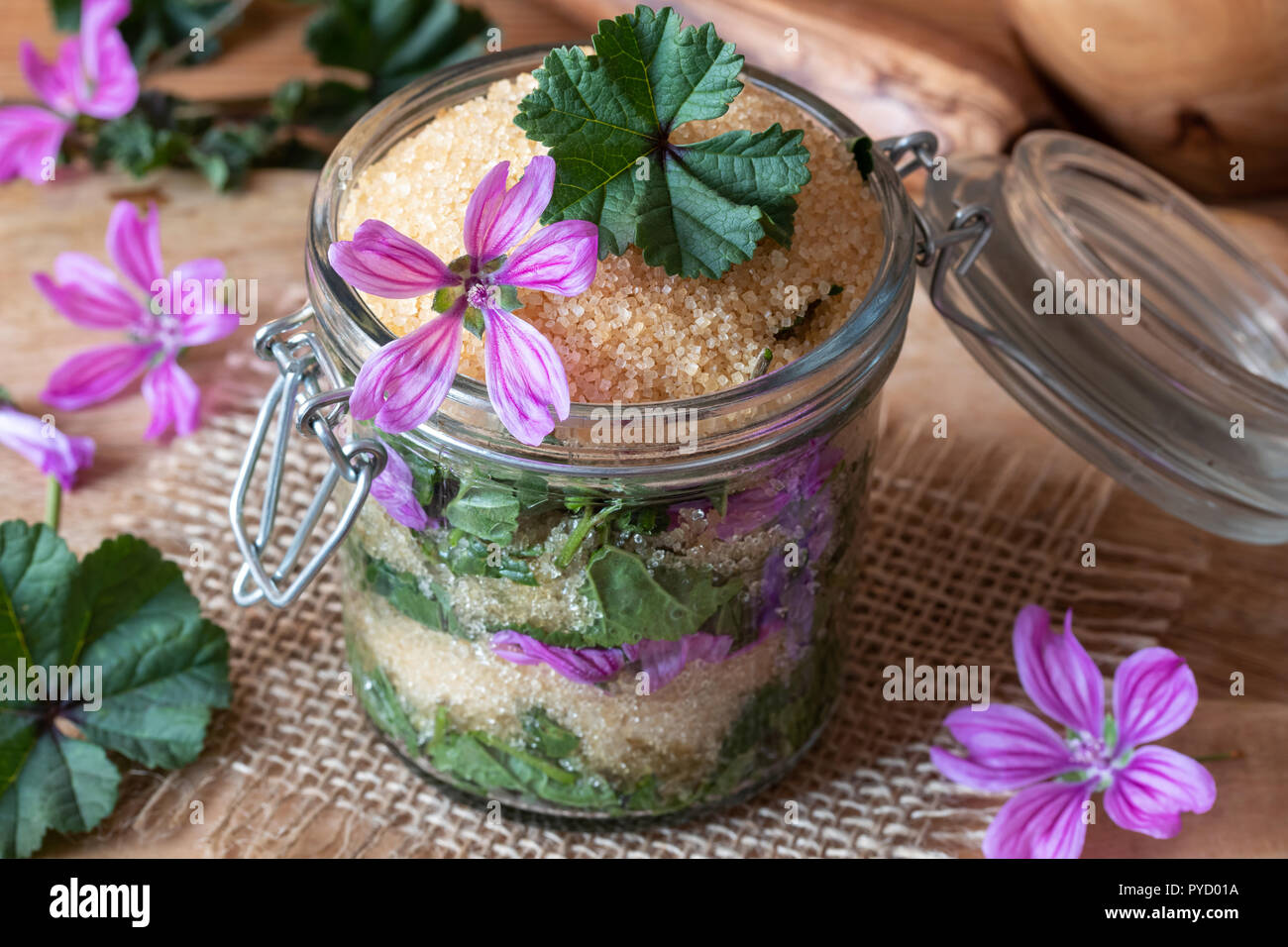 Vorbereitung einer hausgemachten Sirup gegen Husten von wilden gemeinsamen Malve Blumen und Rohrzucker Stockfoto