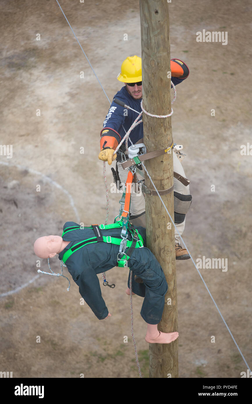 Störungssucher Rodeo in Conway, S.C. Stockfoto