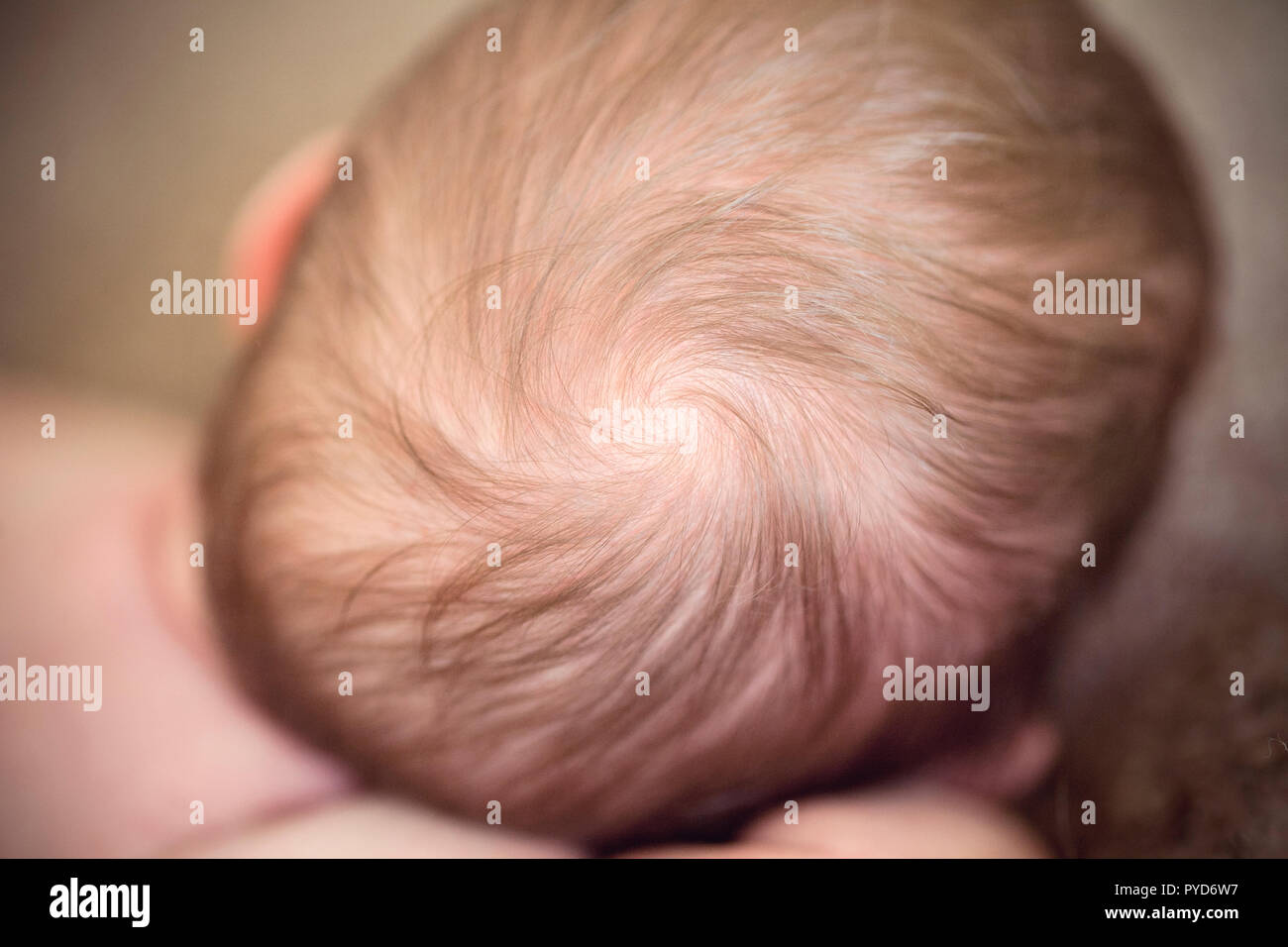 Ein Baby mit einem niedlichen Swirl im Haar Stockfoto