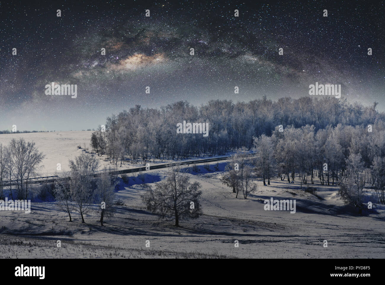 Winter Landschaft, Wald, Schnee mit Himmel voller Sterne abgedeckt Stockfoto
