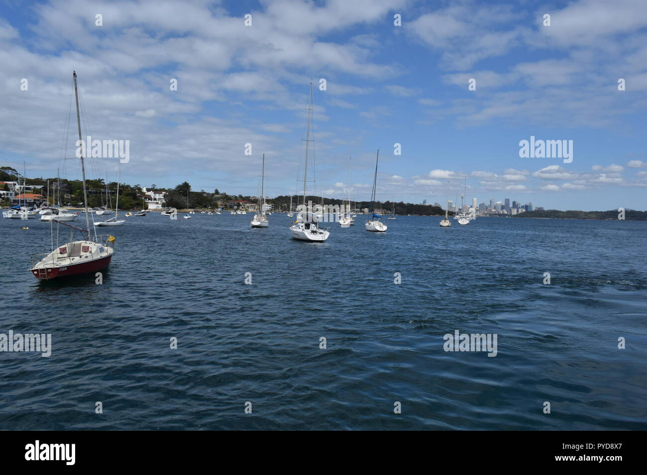 Spaziergang entlang der Küste, Sydney Stockfoto