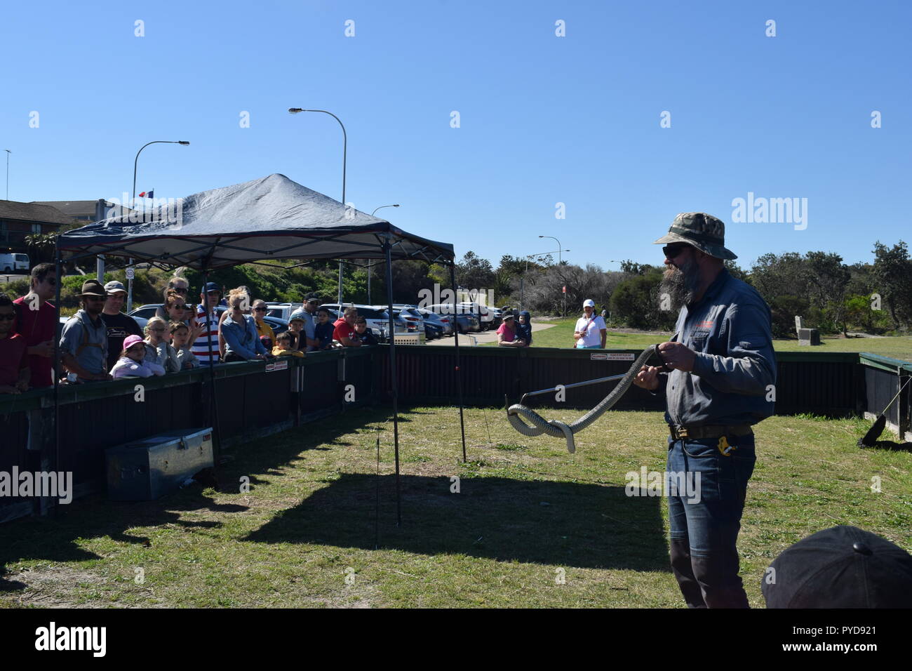 Spaziergang entlang der Küste, Sydney Stockfoto