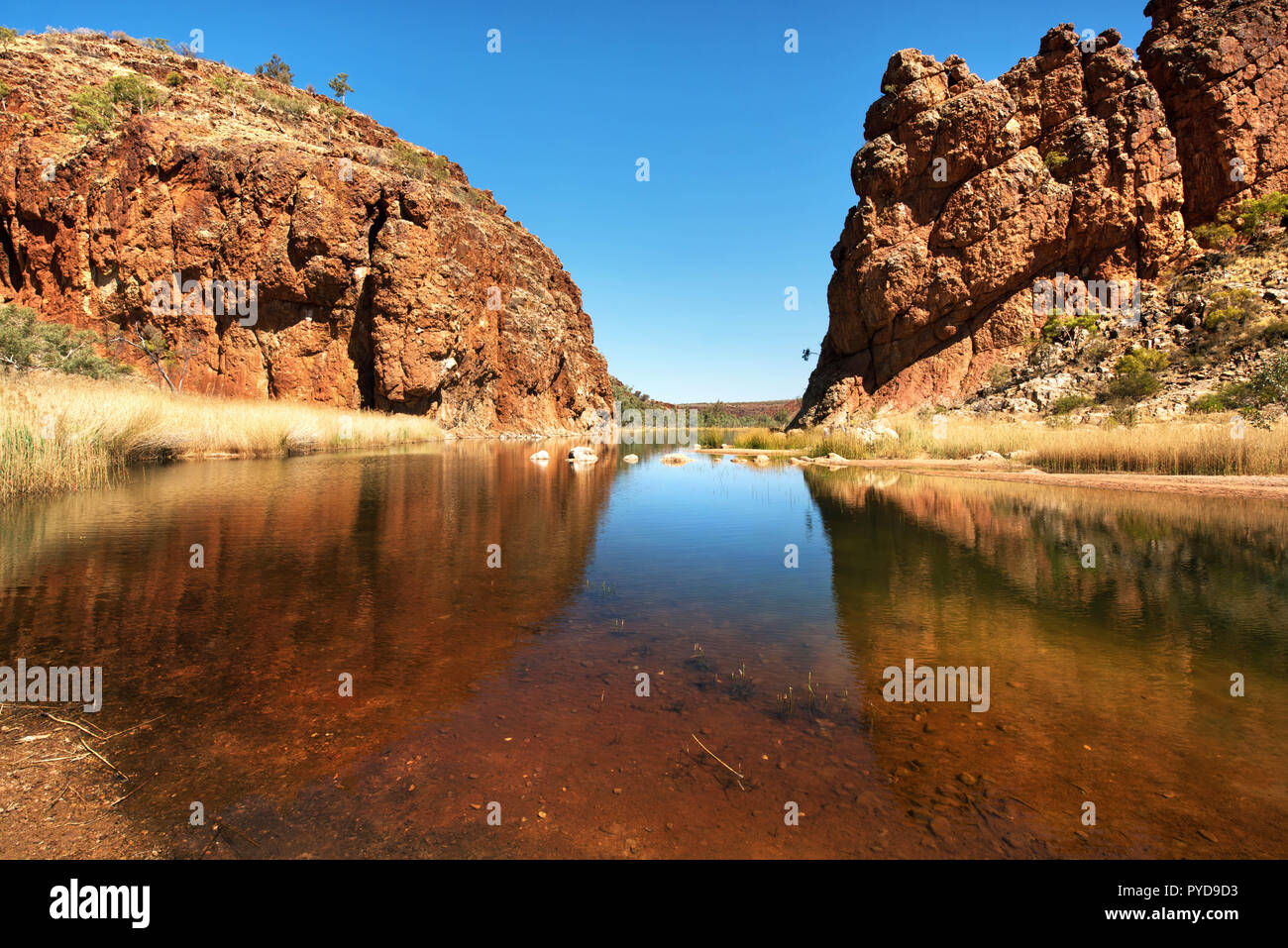 Glen Helen Gorge, MacDonnell Ranges, Northern Territory, Australien Stockfoto