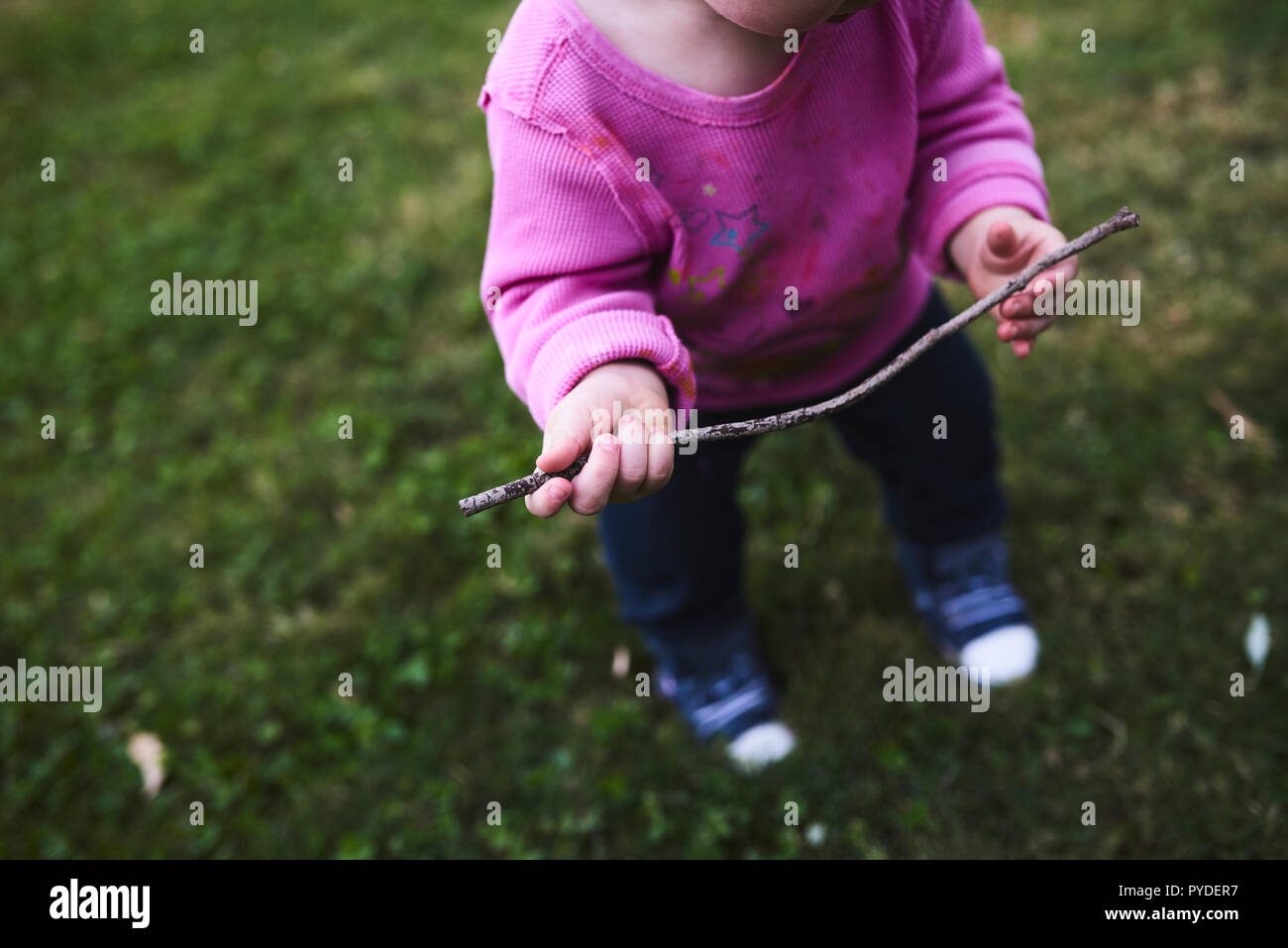 Kleines Mädchen, das ein Rasenfeld mit einem rosafarbenen Hemd erkundet Stockfoto